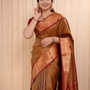 Semi Kanchipuram Sarees