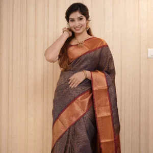Semi Kanchipuram Sarees