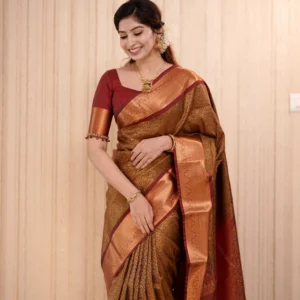 Semi Kanchipuram Sarees