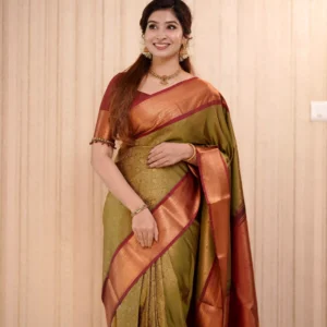 Semi Kanchipuram Sarees