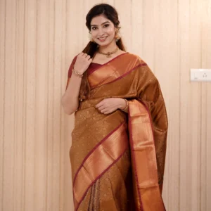 Semi Kanchipuram Sarees