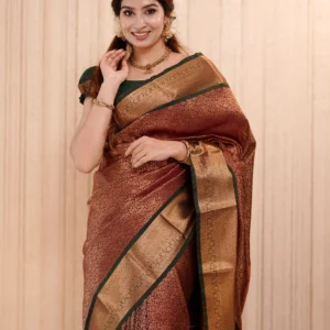 Semi Kanchipuram Sarees