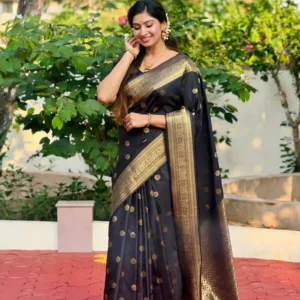 Aanjanam Soft Silk Saree